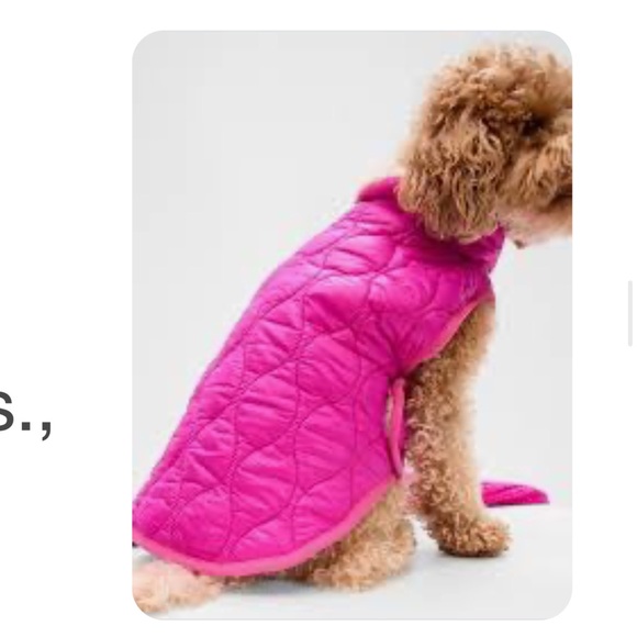 GAP Quilted Dog Puffer Jacket - Picture 5 of 6